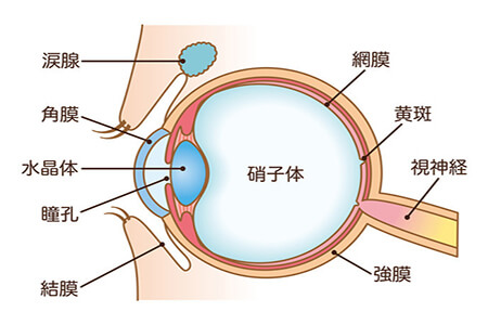 散光比较重的可以做近视眼手术吗？