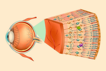 小孩散光能治好吗？应该如何应对？
