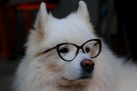 近视眼矫正方法有哪些？矫正视力方法有哪些？