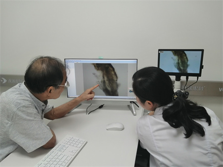 老年人应该怎么预防白内障呢？要注意什么？